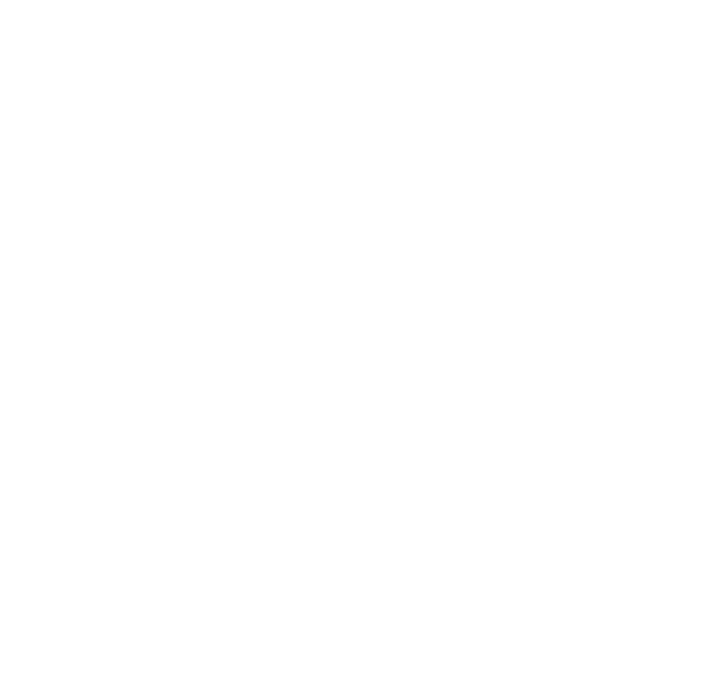 YBV Icon White